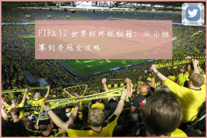 FIFA 12 世界杯终极秘籍：从小组赛到夺冠全攻略