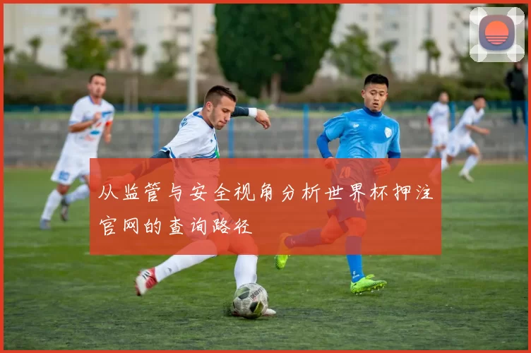 从监管与安全视角分析世界杯押注官网的查询路径