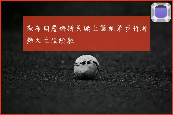 勒布朗詹姆斯关键上篮绝杀步行者热火主场险胜