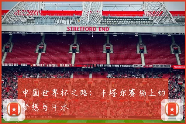 中国世界杯之路：卡塔尔赛场上的梦想与汗水