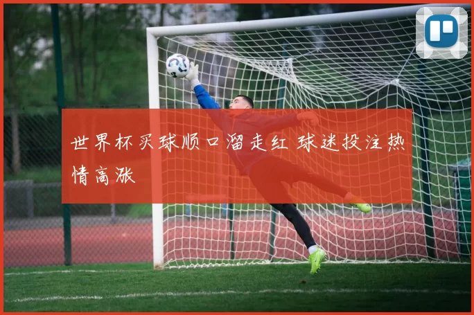 世界杯买球顺口溜走红 球迷投注热情高涨