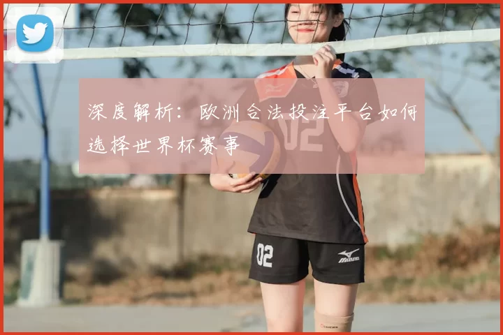 深度解析：欧洲合法投注平台如何选择世界杯赛事