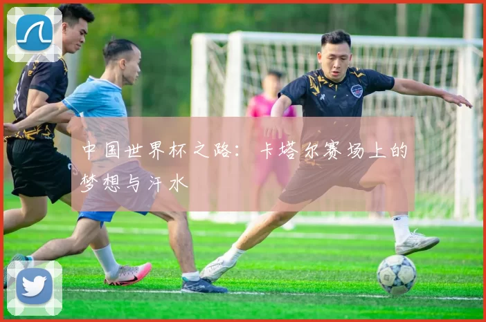 中国世界杯之路：卡塔尔赛场上的梦想与汗水