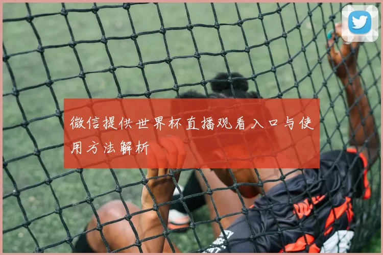 微信提供世界杯直播观看入口与使用方法解析