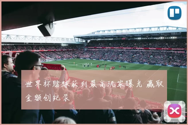 世界杯赌球获利最高玩家曝光 赢取金额创纪录