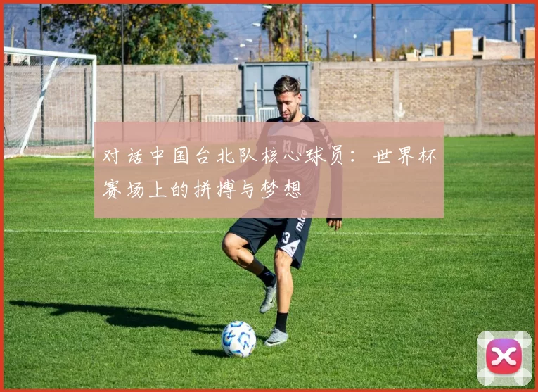 对话中国台北队核心球员：世界杯赛场上的拼搏与梦想
