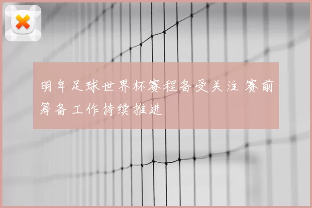 明年足球世界杯赛程备受关注 赛前筹备工作持续推进