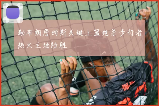 勒布朗詹姆斯关键上篮绝杀步行者热火主场险胜