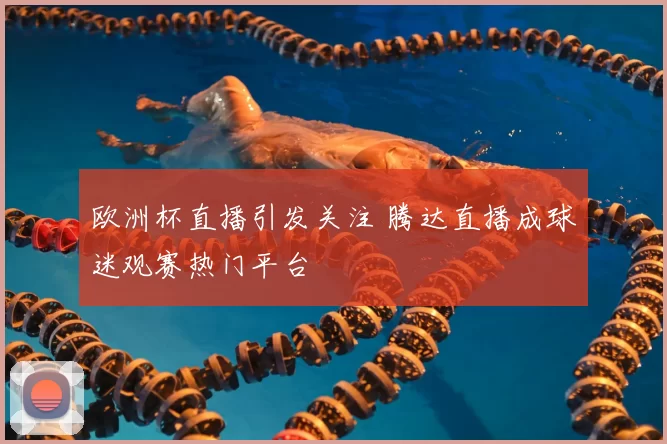 欧洲杯直播引发关注 腾达直播成球迷观赛热门平台