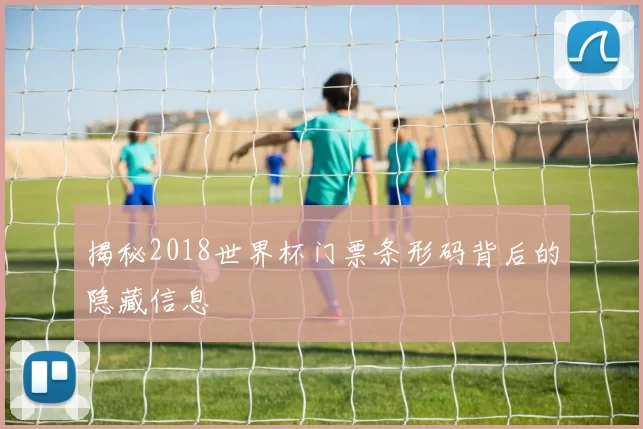 揭秘2018世界杯门票条形码背后的隐藏信息
